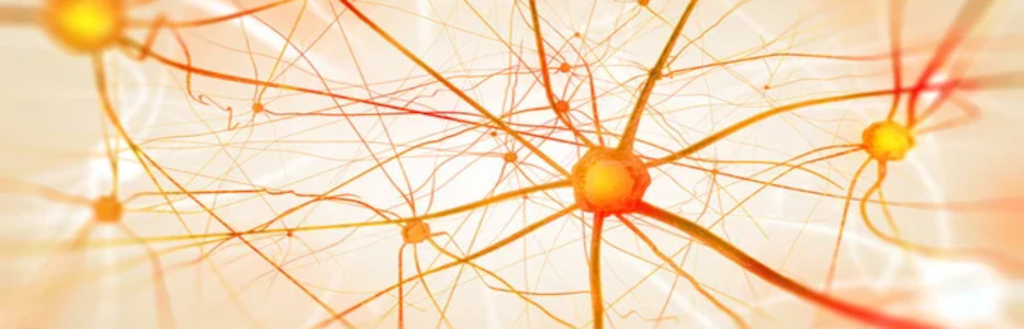 Being unable to work can destroy your nervous system
