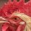 Court orders disability pensioner to remove ‘therapeutic’ roosters from regional property