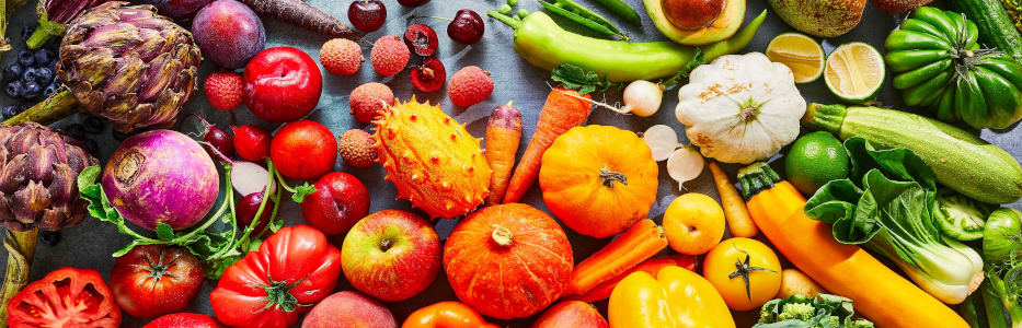 Farm scheme helps learning disabled young adults