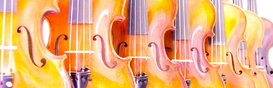 Bassist needed help with neurodivergence and was misused