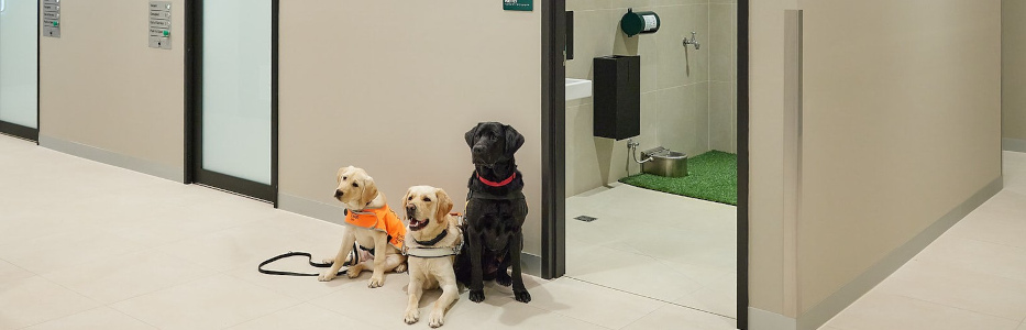 World-class accessibility and inclusion offerings available at new airport